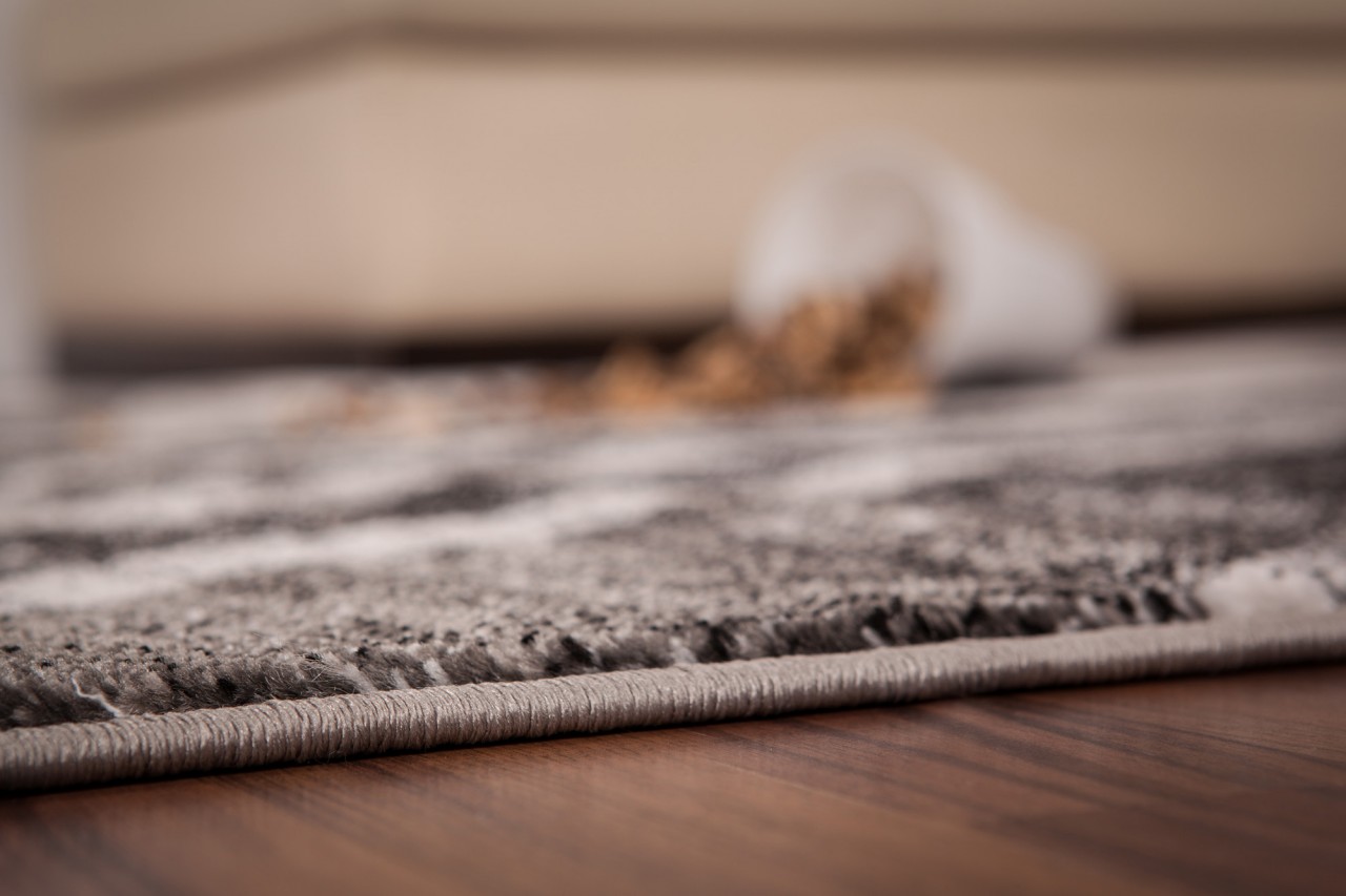 Teppich Elegance Neo Grau Classic ABVERKAUF Teppiche Teppich Elegance Neo Grau Classic ABVERKAUF Teppiche